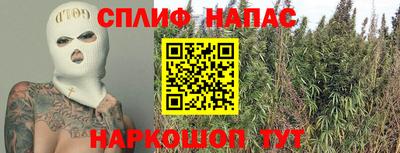 a pvp Брянск